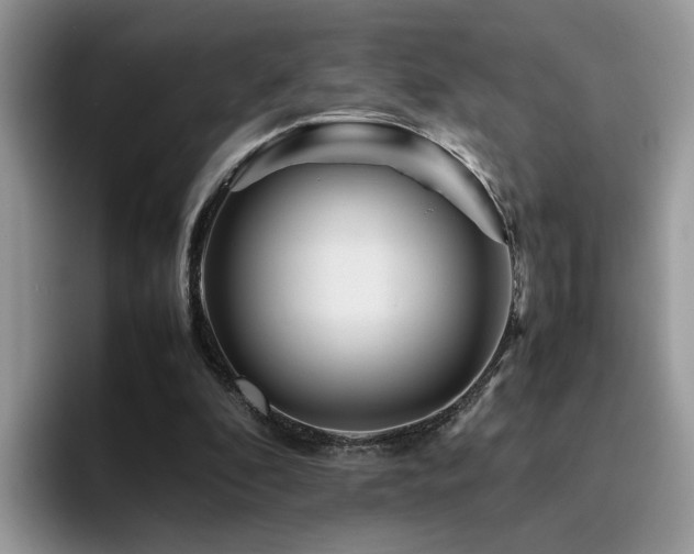 X0000094950296200711291419