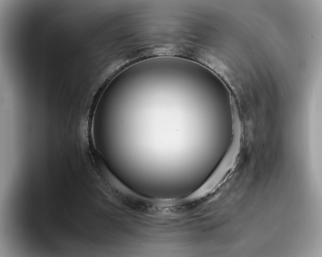 X0000094950297200711291419