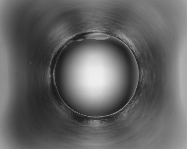 X0000094950298200711291419