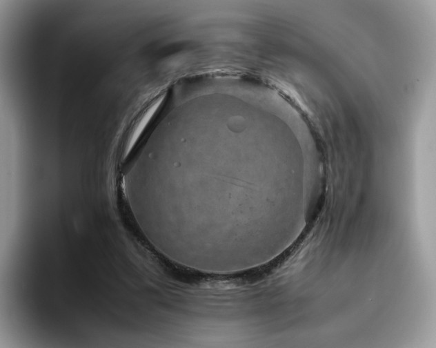 X0000094950299200711291419