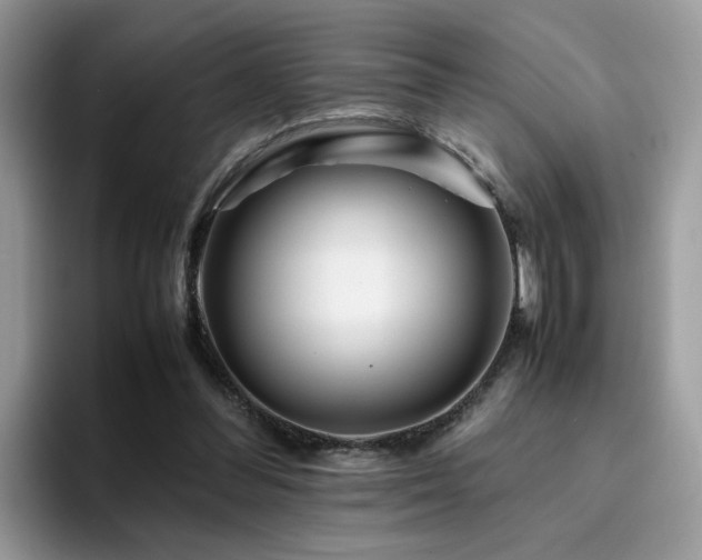 X0000094950300200711291419