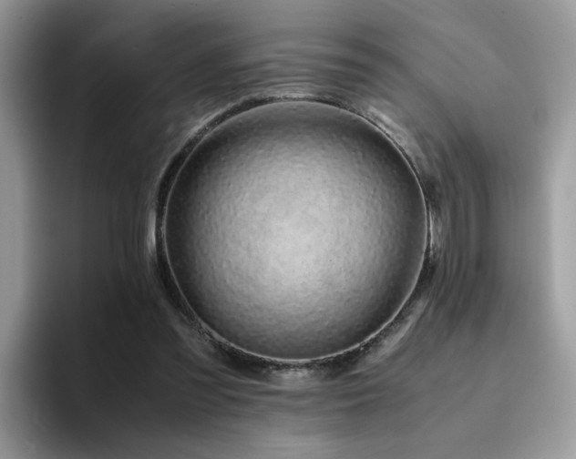 X0000094950301200711291419