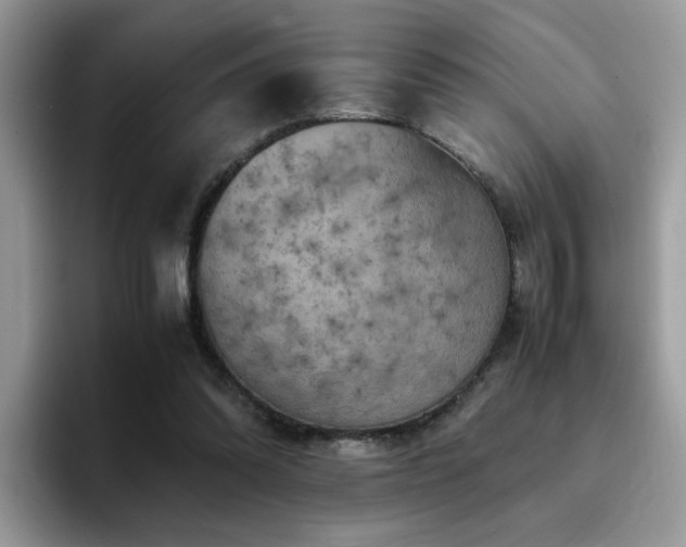 X0000094950302200711291419