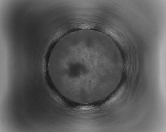 X0000094950303200711291419