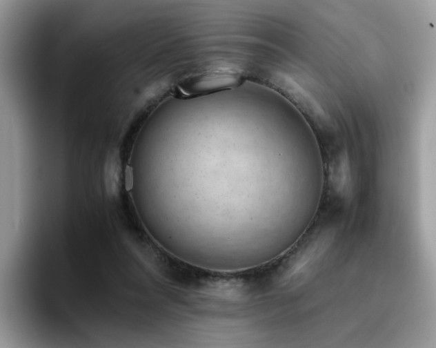 X0000094950304200711291419