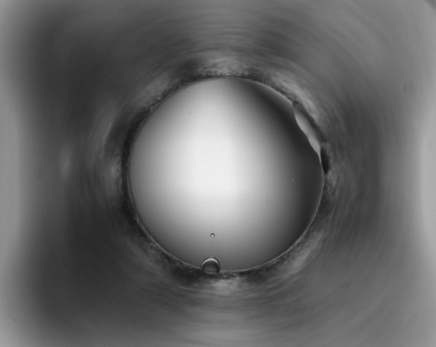 X0000094950306200711291419