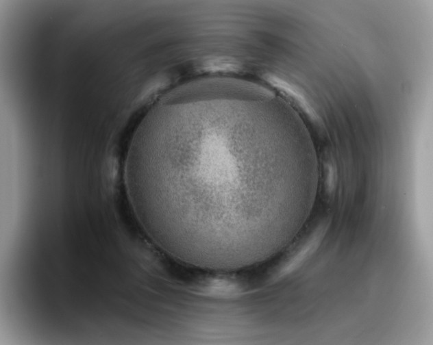 X0000094950308200711291419