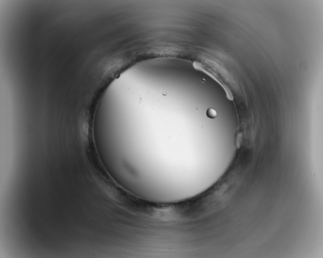 X0000094950309200711291419