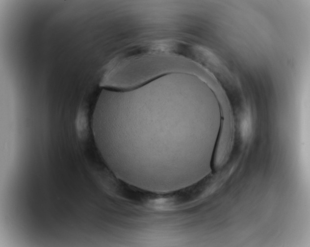 X0000094950312200711291419