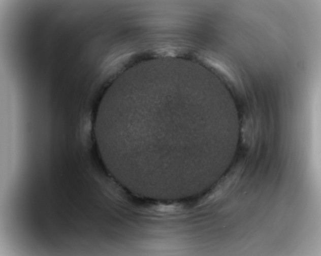 X0000094950314200711291419