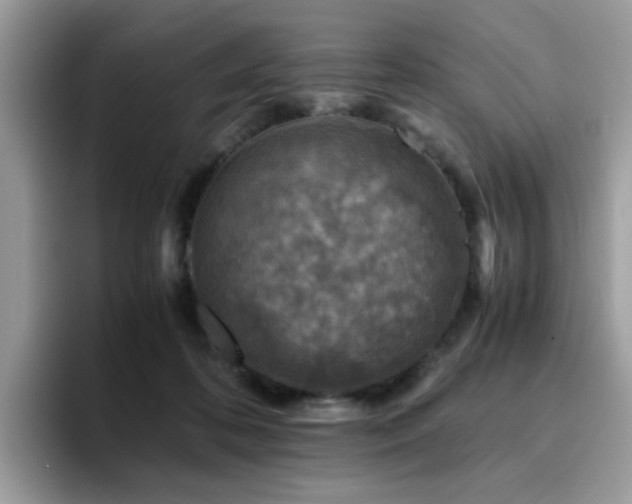 X0000094950316200711291418