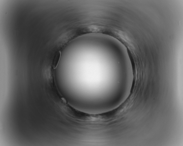 X0000094950317200711291418