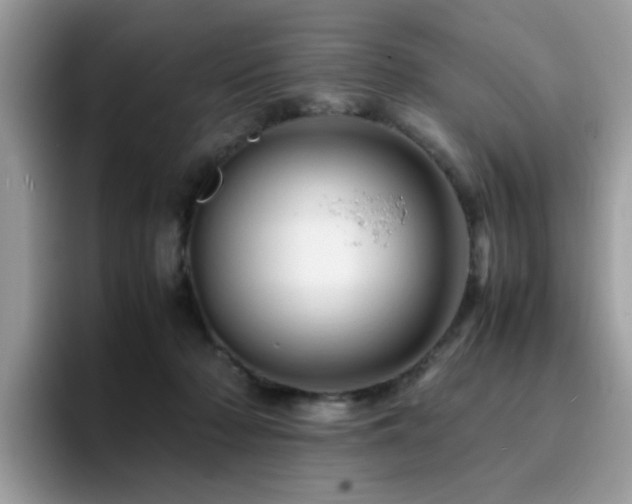 X0000094950318200711291418