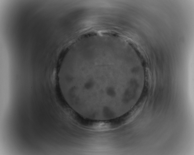 X0000094950319200711291418