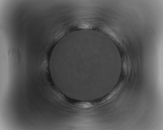 X0000094950322200711291418