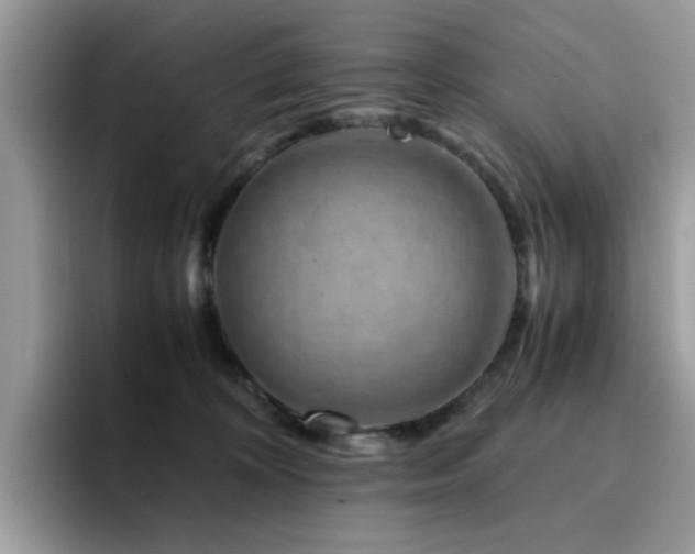 X0000094950324200711291418