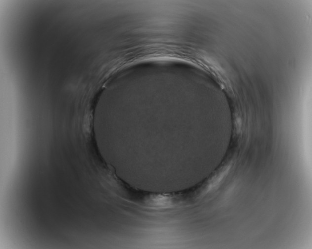 X0000094950325200711291418