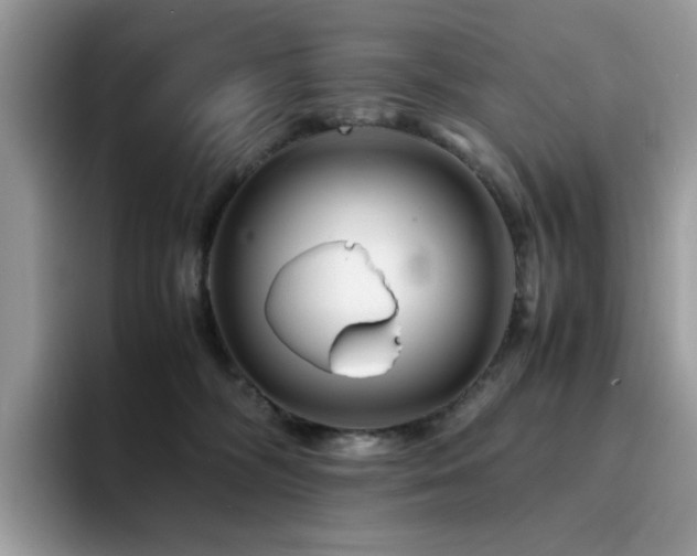 X0000094950326200711291418