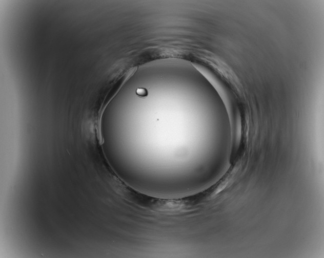 X0000094950329200711291418