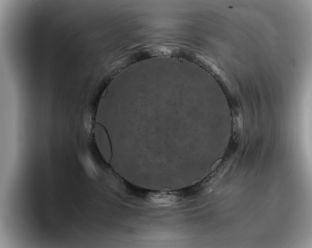 X0000094950331200711291418