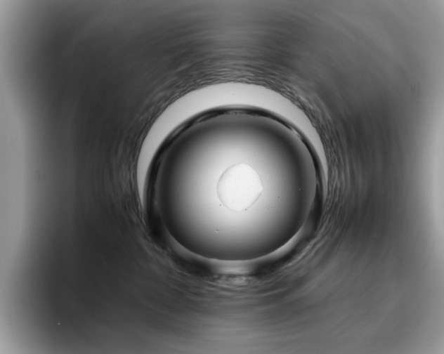 X0000094950332200711291418