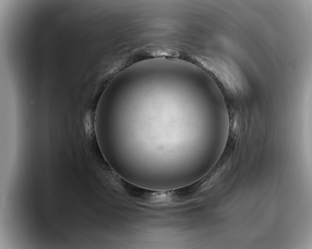 X0000094950335200711291418