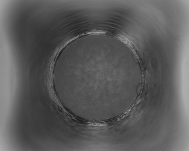 X0000094950337200711291418