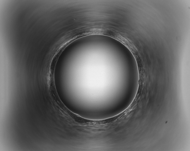 X0000094950338200711291418