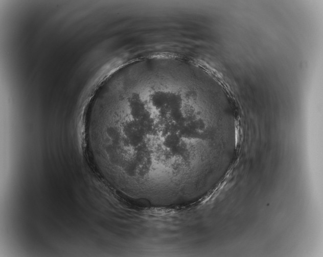 X0000094950339200711291418