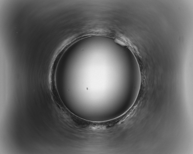 X0000094950340200711291418