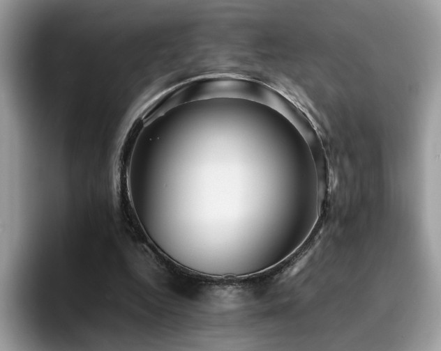 X0000094950344200711291418