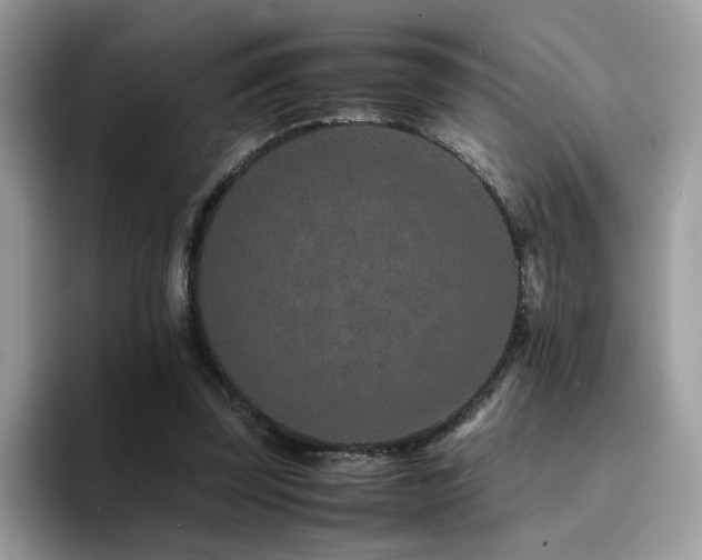 X0000094950347200711291418