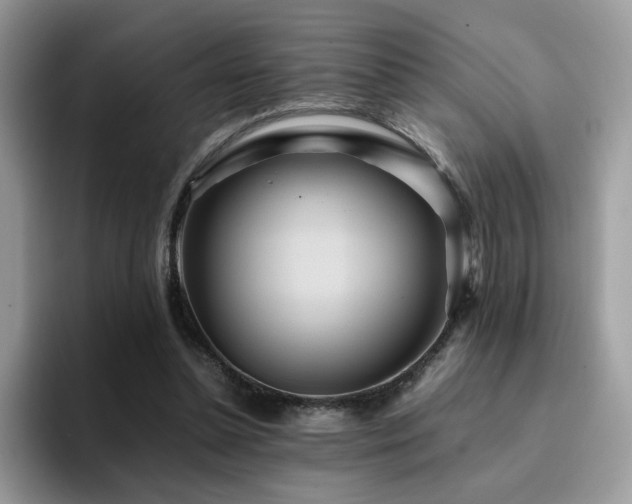 X0000094950348200711291418