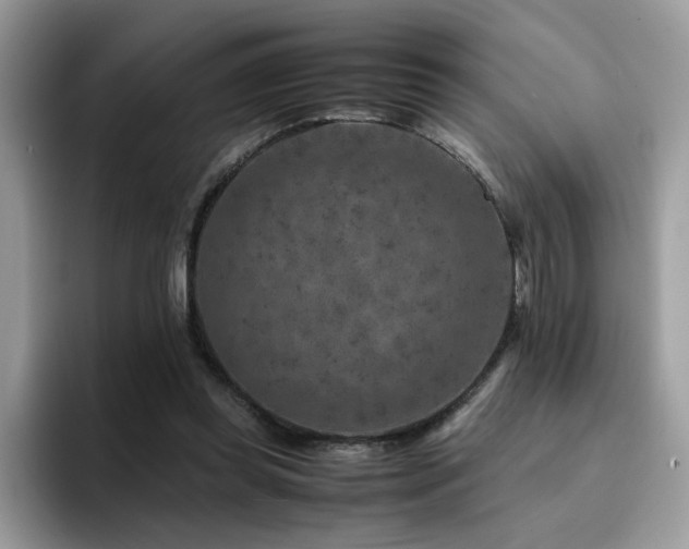 X0000094950349200711291418