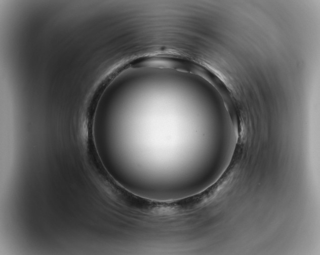 X0000094950350200711291418