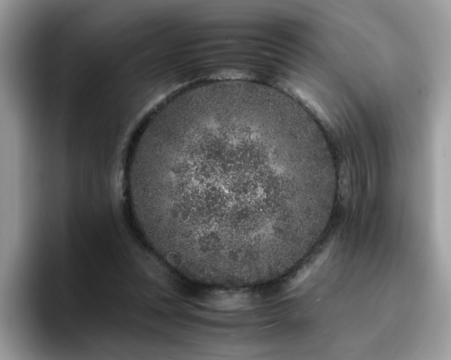 X0000094950351200711291418