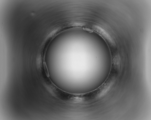 X0000094950352200711291418