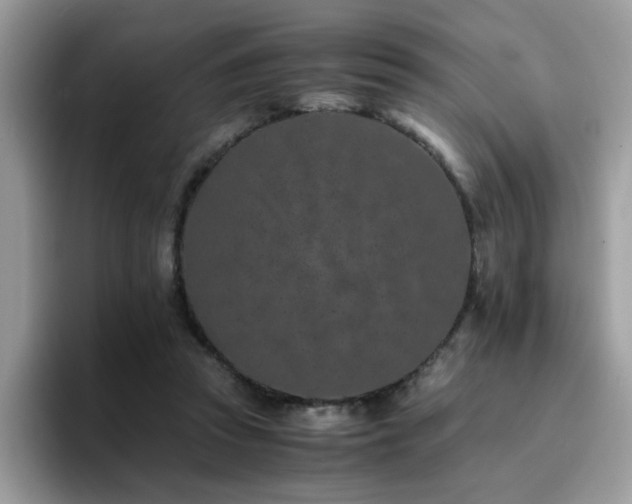 X0000094950353200711291418