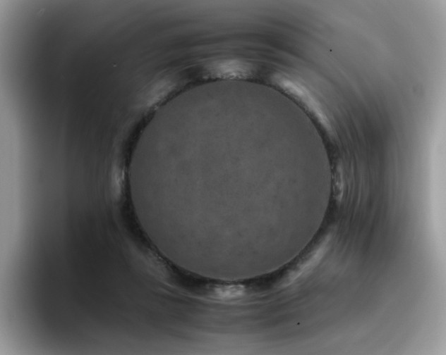 X0000094950355200711291418