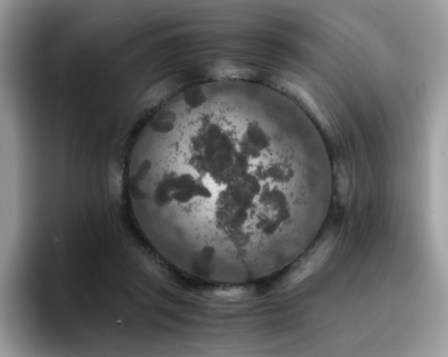 X0000094950357200711291418