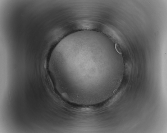 X0000094950358200711291418