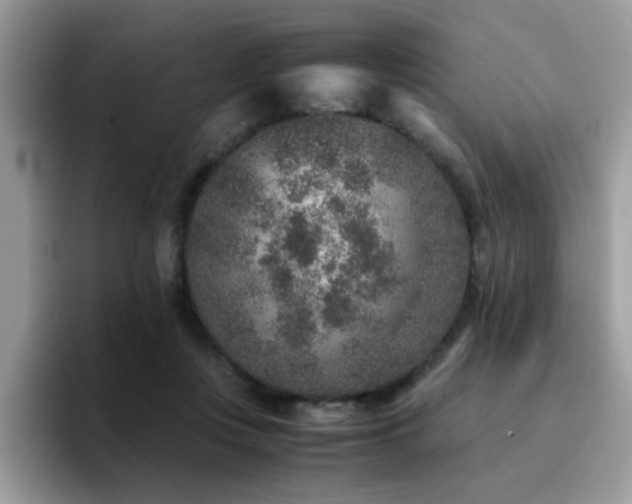 X0000094950359200711291418