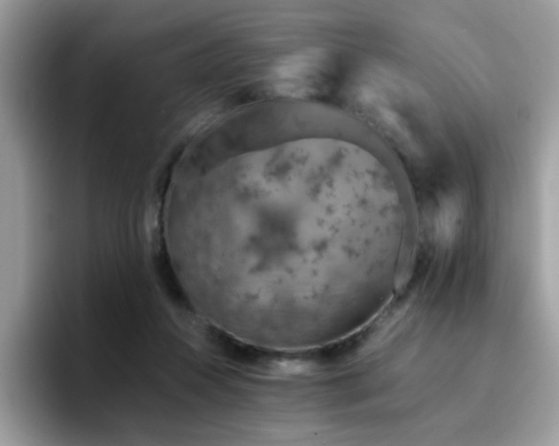 X0000094950360200711291418