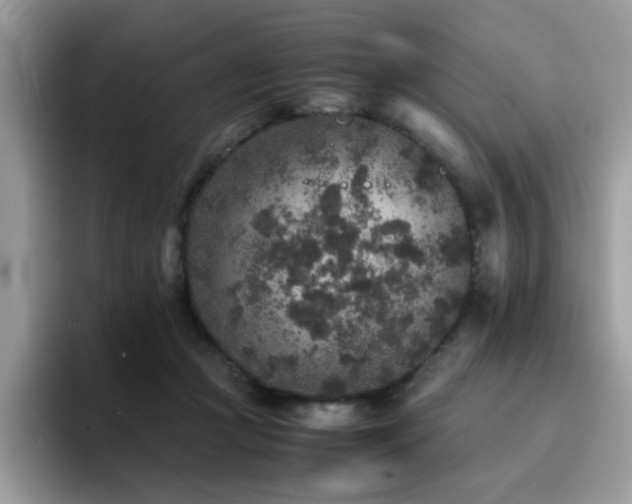 X0000094950361200711291418