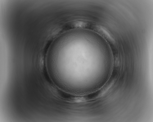 X0000094950363200711291418