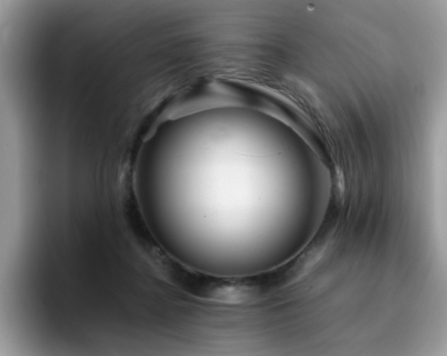 X0000094950364200711291418