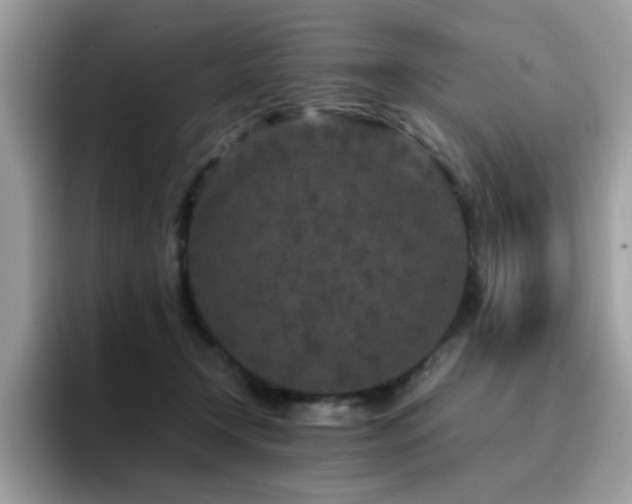 X0000094950366200711291418