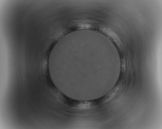 X0000094950369200711291418