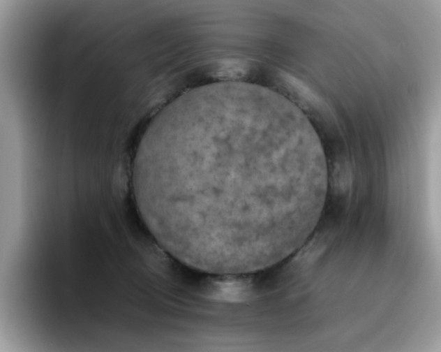 X0000094950370200711291418