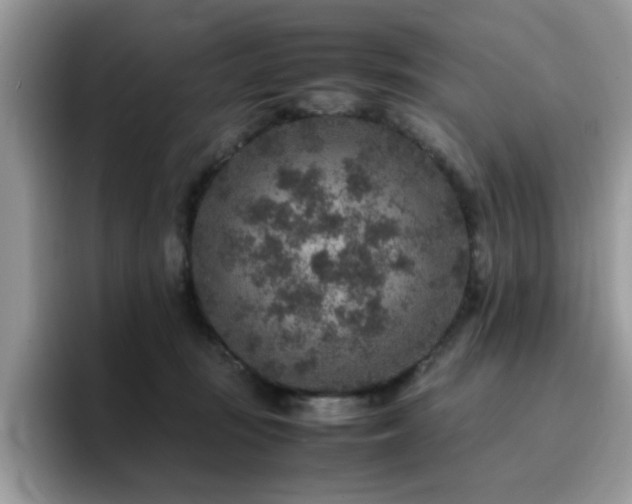 X0000094950371200711291418